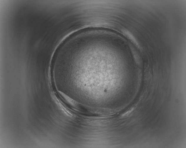 X0000072970932200607211219