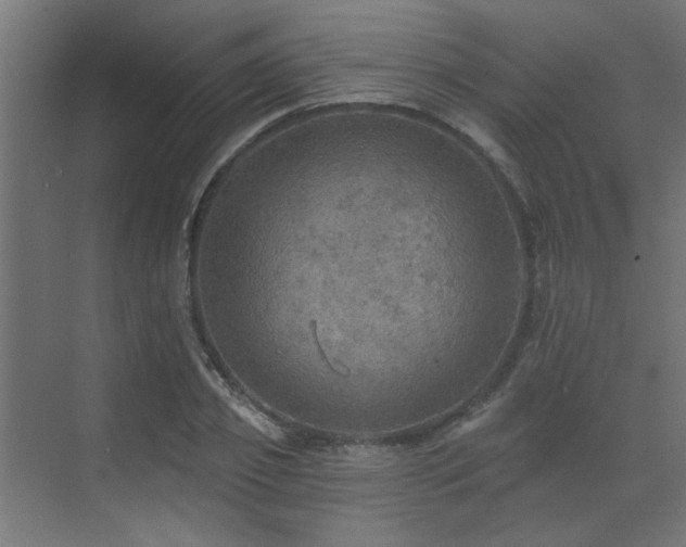 X0000072970933200607211219