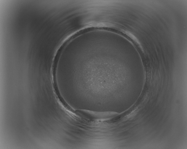 X0000072970935200607211219