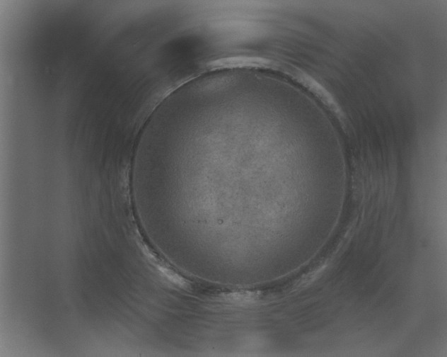 X0000072970937200607211219