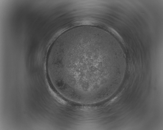 X0000072970938200607211219