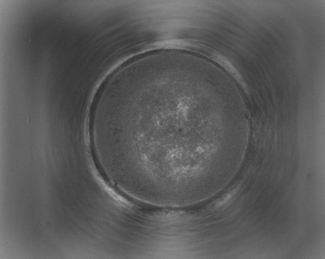 X0000072970939200607211219