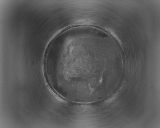 X0000072970941200607211219