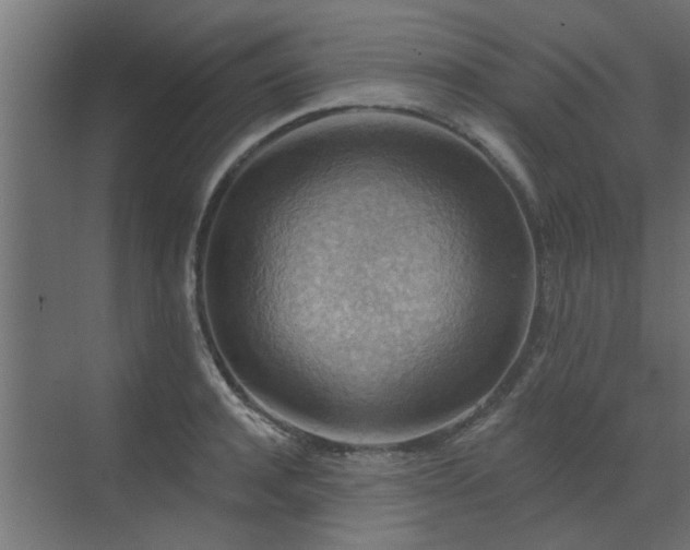 X0000072970944200607211220