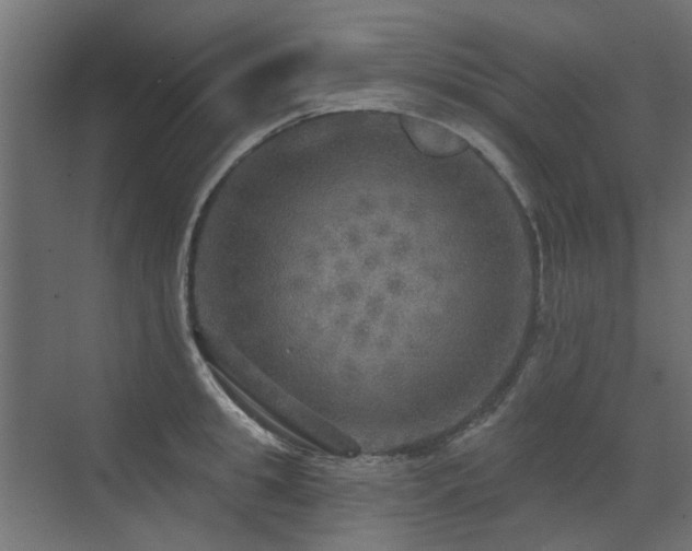 X0000072970949200607211220