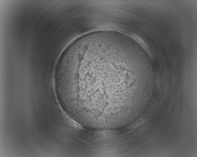 X0000072970950200607211220