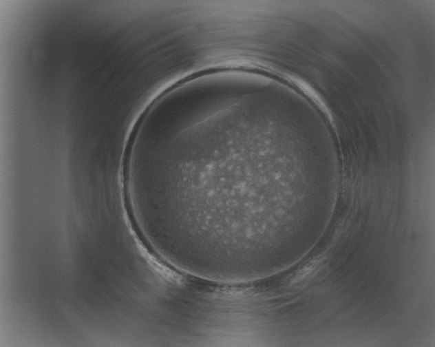 X0000072970951200607211220