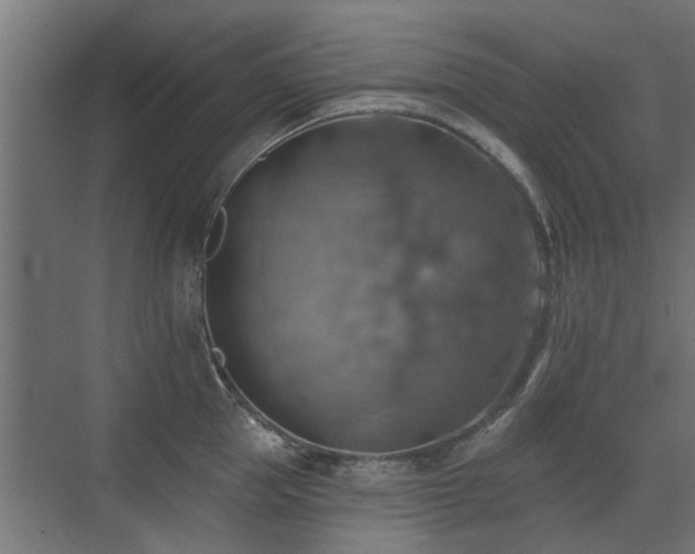 X0000072970953200607211220