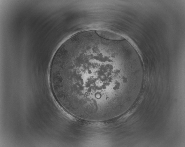 X0000072970957200607211220