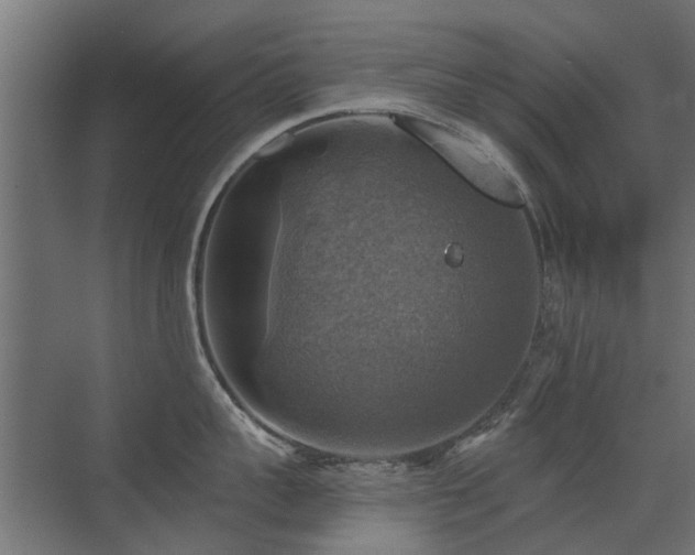 X0000072970959200607211220