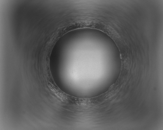 X0000072970961200607211219