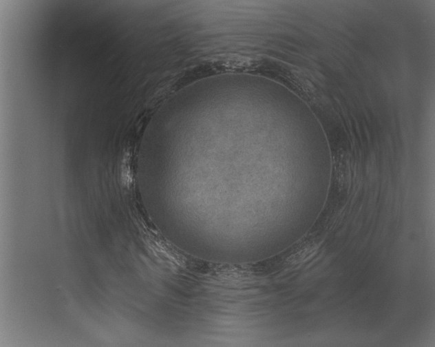 X0000072970962200607211219