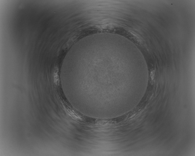 X0000072970963200607211219