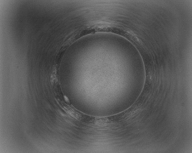 X0000072970964200607211219