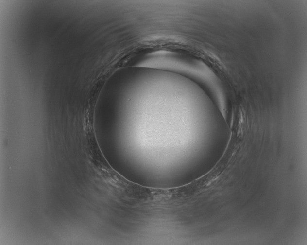 X0000072970965200607211219