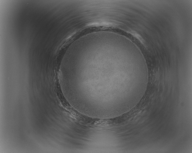 X0000072970967200607211219