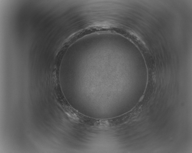 X0000072970968200607211219