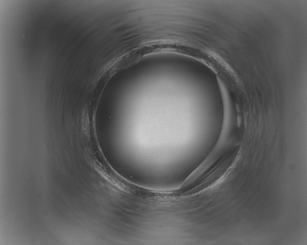 X0000072970969200607211219