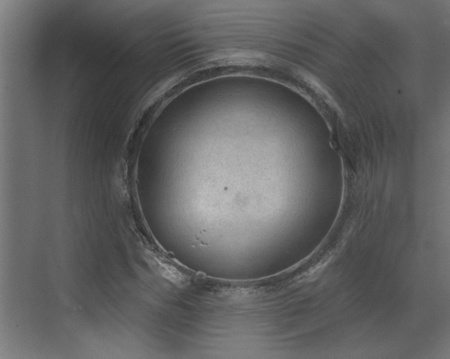 X0000072970970200607211219