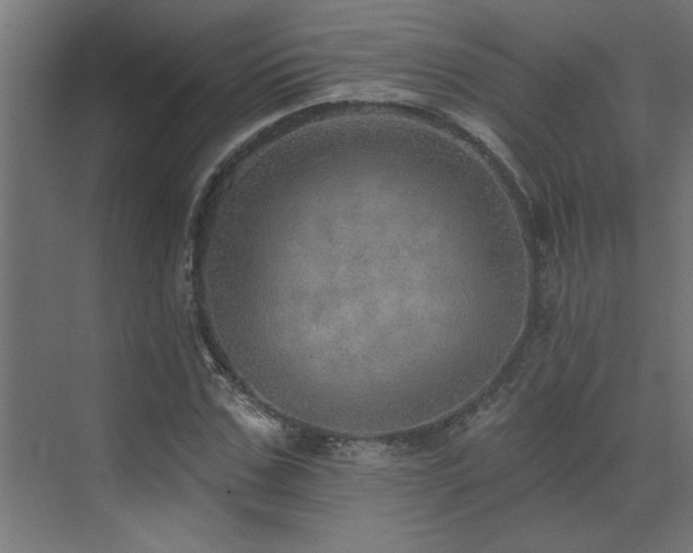 X0000072970971200607211219