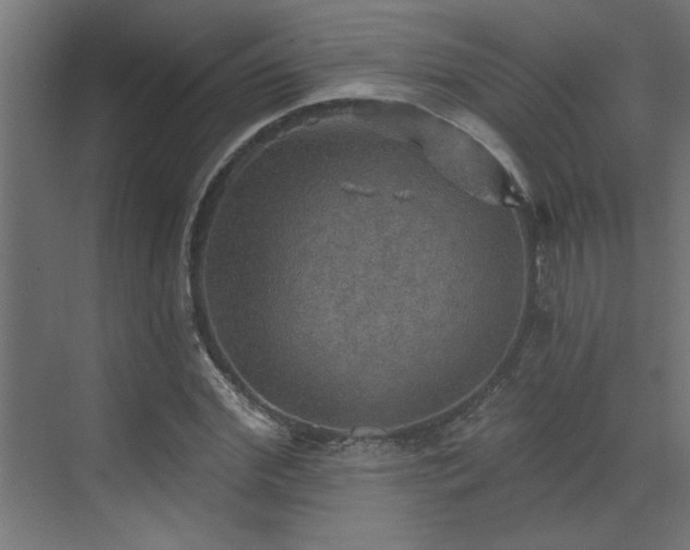 X0000072970972200607211219