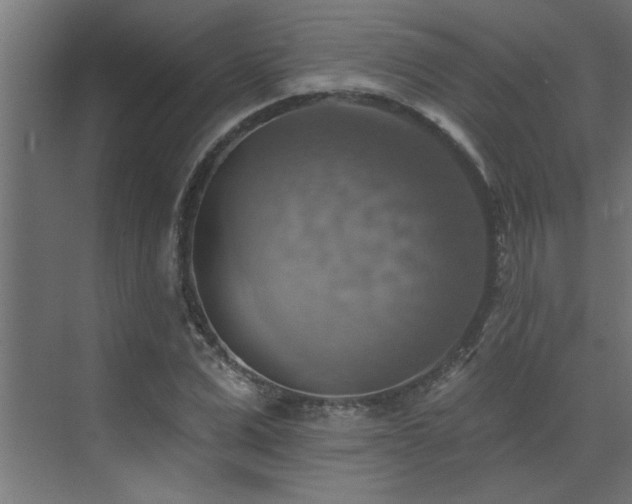 X0000072970975200607211219