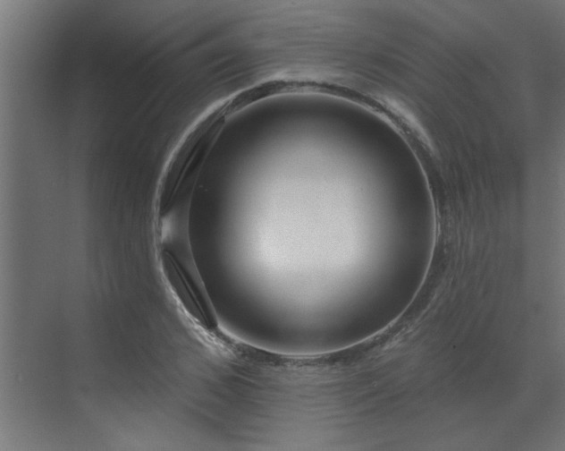 X0000072970976200607211219