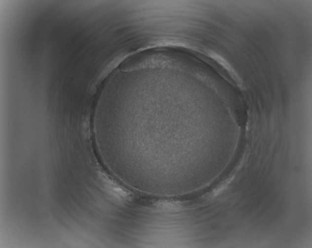 X0000072970977200607211219