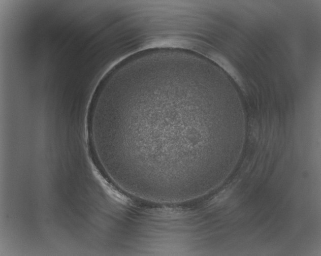 X0000072970980200607211219