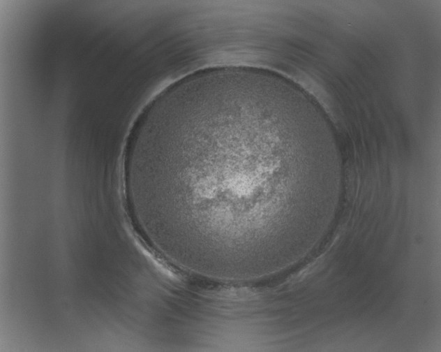 X0000072970982200607211219