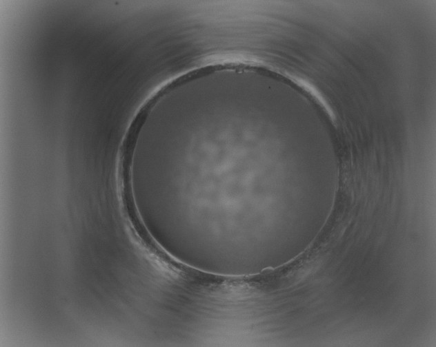 X0000072970983200607211219