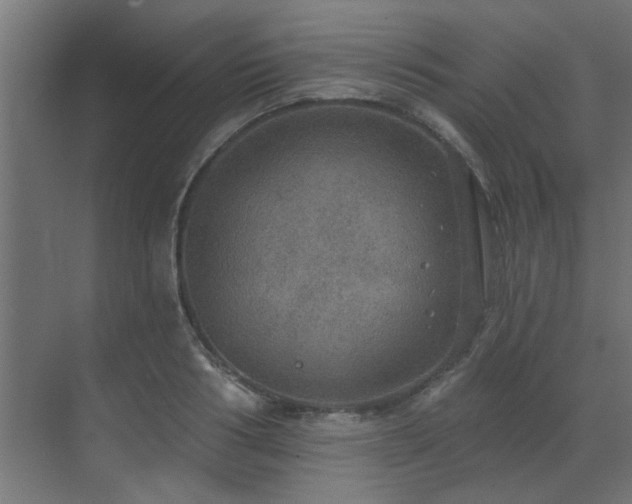 X0000072970986200607211219