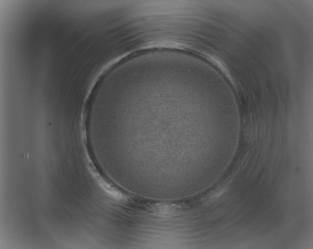 X0000072970987200607211219