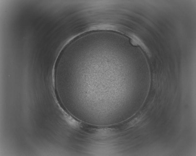 X0000072970988200607211219