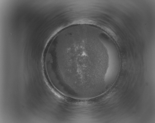 X0000072970990200607211219