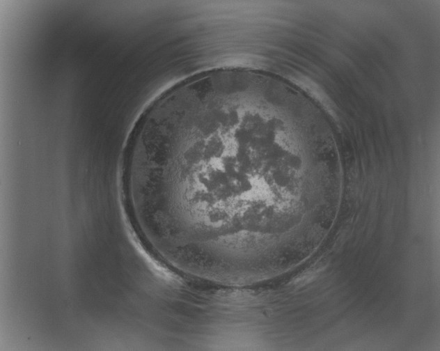 X0000072970991200607211219