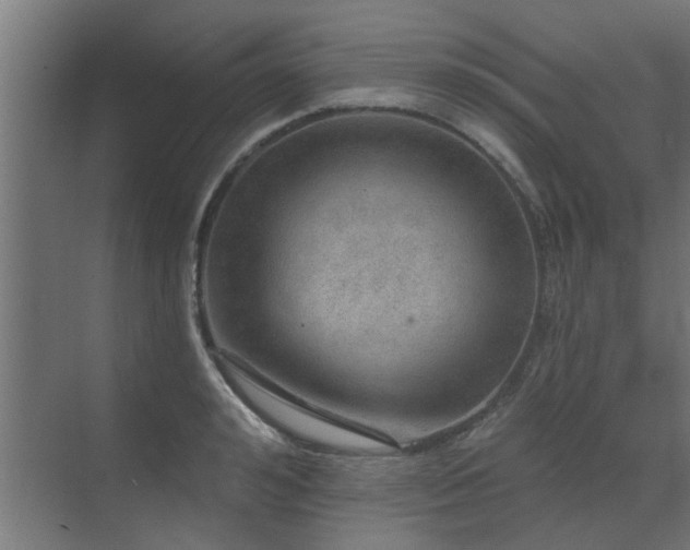 X0000072970992200607211218