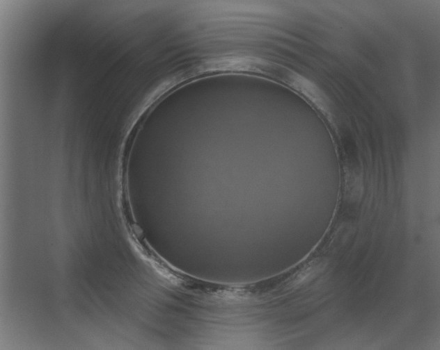 X0000072970994200607211218