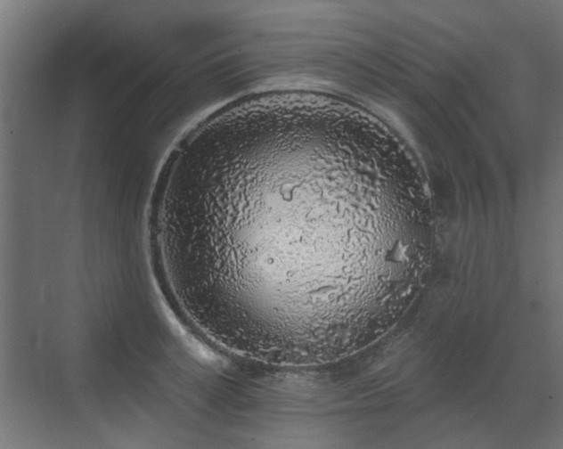 X0000072970995200607211218