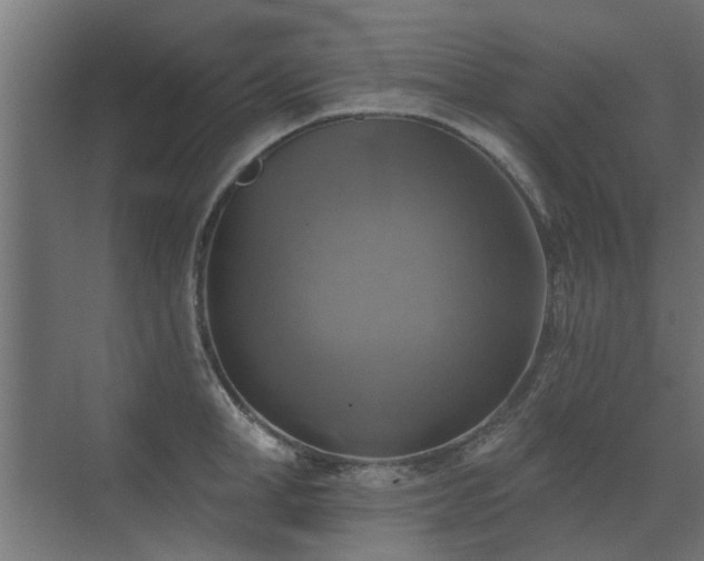 X0000072970998200607211218