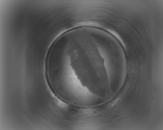 X0000072970999200607211218