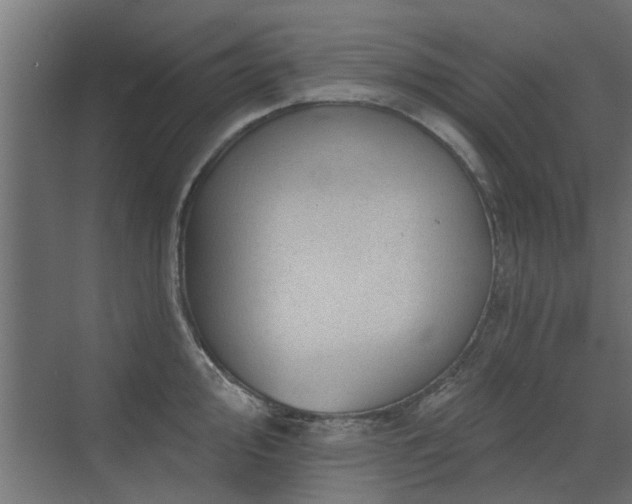 X0000072971000200607211218