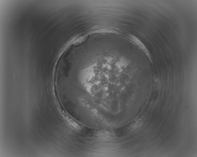 X0000072971002200607211218