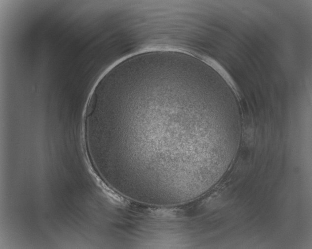 X0000072971004200607211218