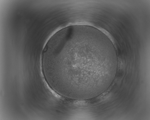 X0000072971006200607211218