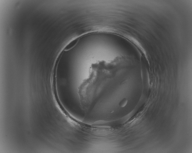 X0000072971007200607211218