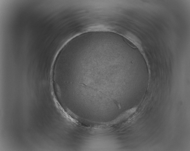 X0000072971008200607211218