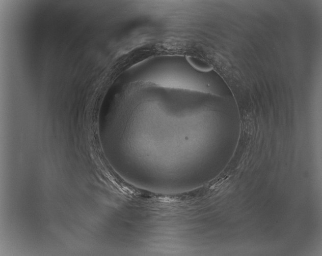 X0000072971009200607211217