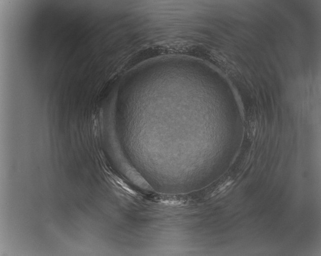 X0000072971010200607211217