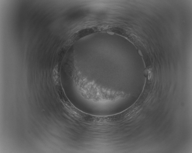 X0000072971011200607211217